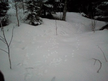 img_20170204_1647041